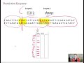 Restriction Enzymes and Gel Electrophoresis