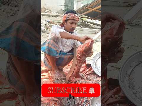 Monster Big Giant Size Silver Fish Cutting Expert 😱🐟 | Unbelievable Skill | #shorts