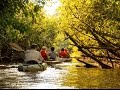 Exploring the Ecuadorian Amazon