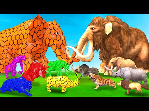 Spidey Elephant Mammoth vs Shadow Animals Itself Size Comparison Epic Battle Animal Revolt Battle