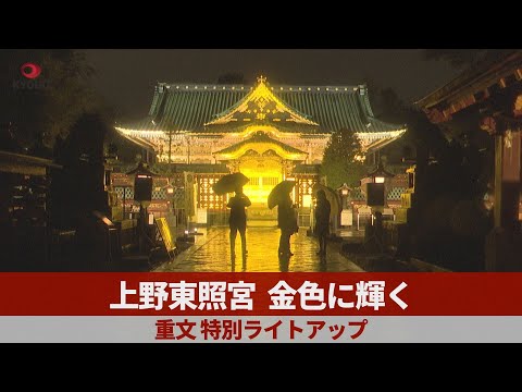 上野東照宮、金色に輝く 重文、特別ライトアップ