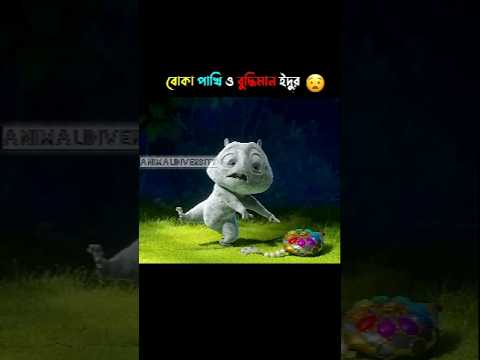 বোকা পাখি #cartoon #3danimation