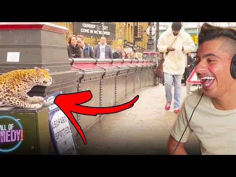 مقلب النمر في الناس ( اتحداك ماتظحك ) #1 🤣 !!