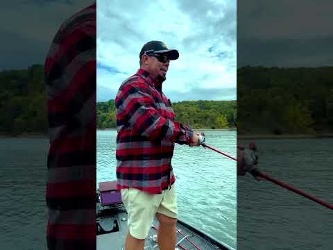 Flannel Fest is HERE!