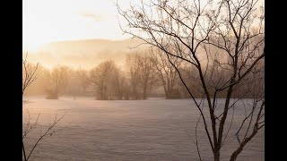 Running Winter Team Competitions Through ClubV1