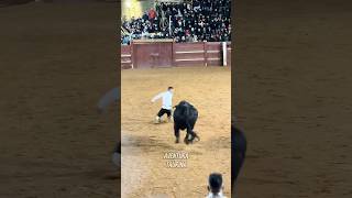 Extraordinario Reverso De Rodillas De Mario Alcaide Al Toro Bravo De La Final ¡De Infarto! #shorts
