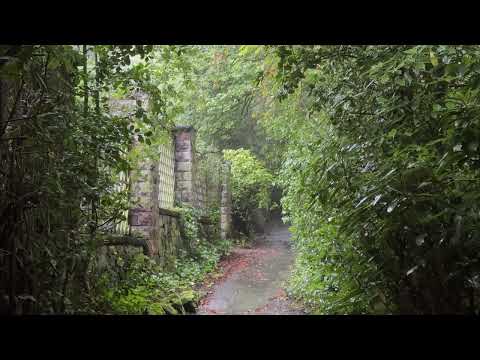 Sleep with Heavy Rain | Relaxing Sounds for Sleep, Insomnia, Study