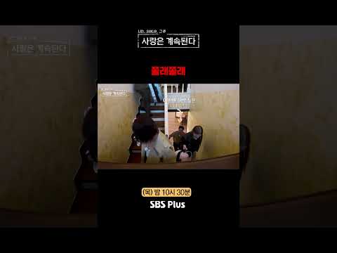 쫄래쫄래 #sbsplus #<strong>나솔사계</strong> #EP_188
