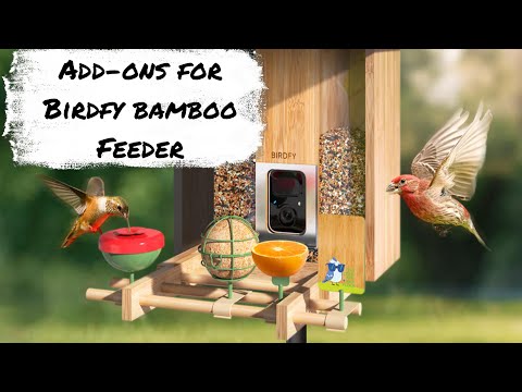 Birdfy Bamboo Smart Bird Feeder Add on Accessories