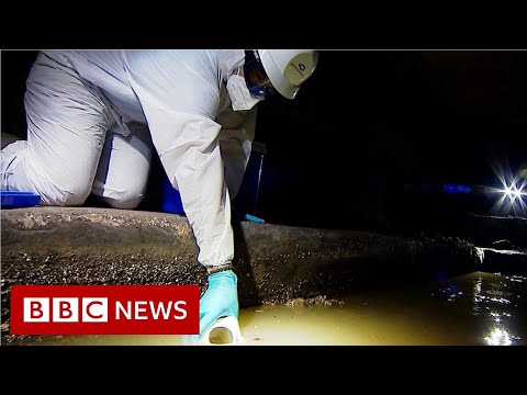 Coronavirus: Tracking new outbreaks in the sewers – BBC News