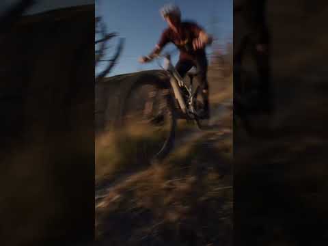 META SX V5