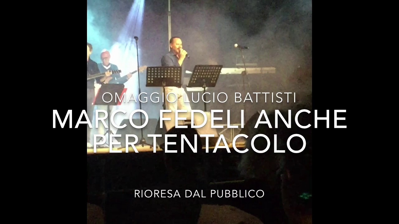 markofedeli