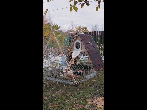 How to build a chicken coop out of old pallets