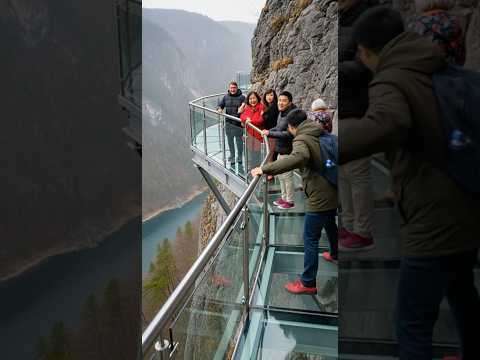 Glass Bridge BREAKS in China — Tourists Fall Into Deep Gorge!  #bridgecollapse #china #shorts
