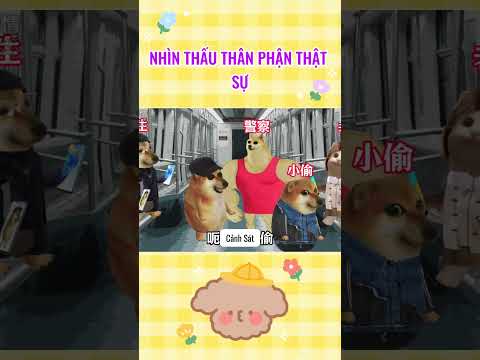 Nhìn thấu thân phận thật sự | Cheems thiên tài #giaitri #cheems