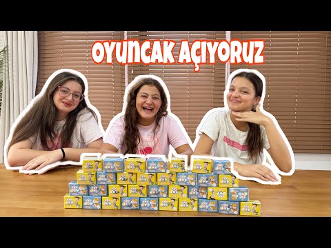 OYUNCAK KUTU AÇIYORUZ/ Bakalım İçinden Ne Çıkacak