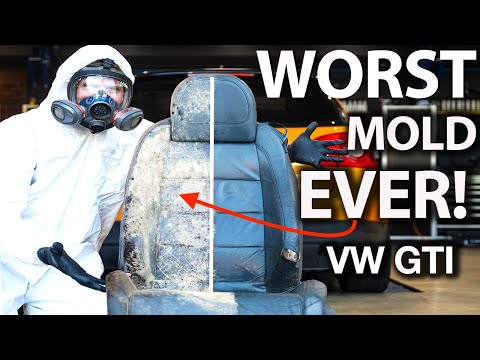 Most Disgusting VW Ever! First Wash MK5 GTI Disaster Detail INSANE Mold