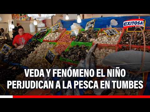🔴🔵 Veda y fenómeno El Niño perjudican a la pesca en Tumbes