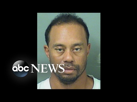 Tiger Woods' DUI arrest: What happened when police found him
