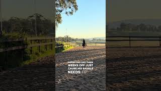 Don’t give up kids! #equestrianjourney