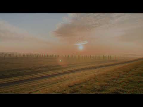 Short movie: “Wood”