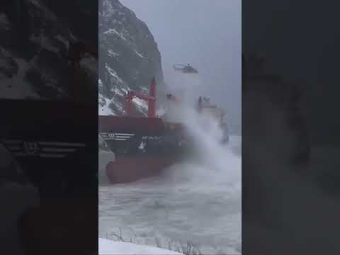 Happening in Newfoundland right now ๏ฟผ