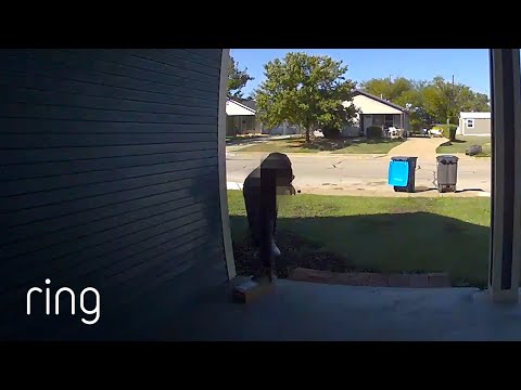 Woman Yells at Porch Pirate to Drop Her Package | RingTV