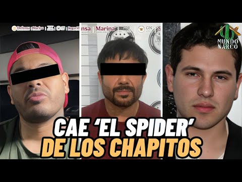 ¡Arrestan en Sinαloa a ‘Ёl Ŝpider’! Integrante de Lфs Chαpitos