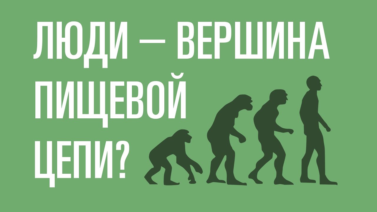 Люди - вершина пищевой цепи Так ли это?