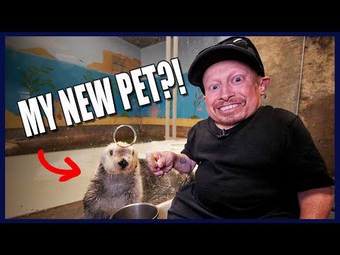 SEA OTTERS, SHARKS, AND PENGUINS, OH MY! - EXCLUSIVE AQUARIUM TOUR
