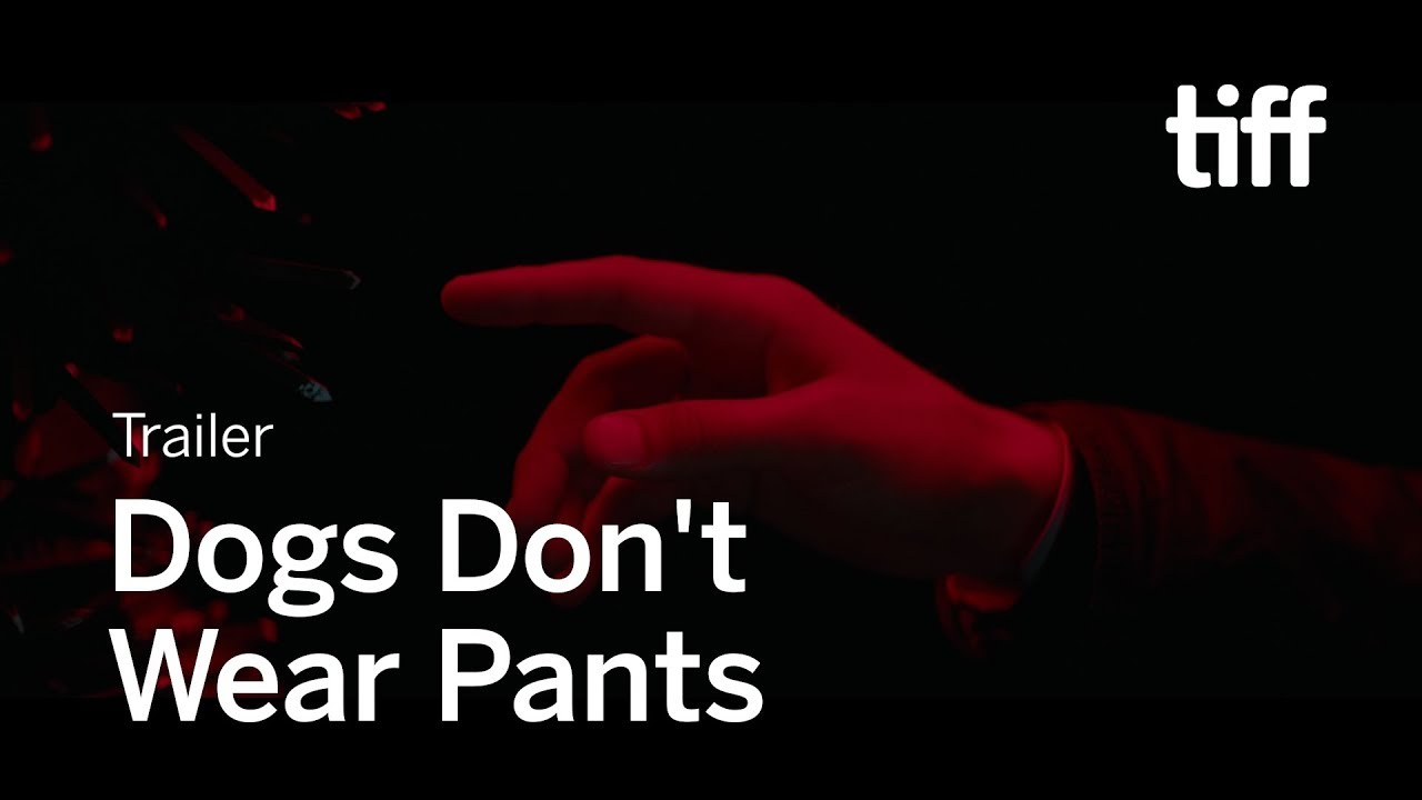 Dogs Don't Wear Pants Trailer thumbnail