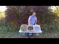 Soil Infiltration and Erosion Practices