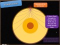 Earthquake Wave Behavior and Properties