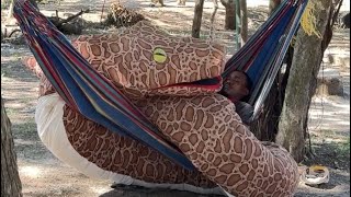 La 🐍 gigante 😱😱 #tendencias #funny #trending #humor #viralshort