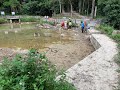 Environmental Changes and Conservation Issues