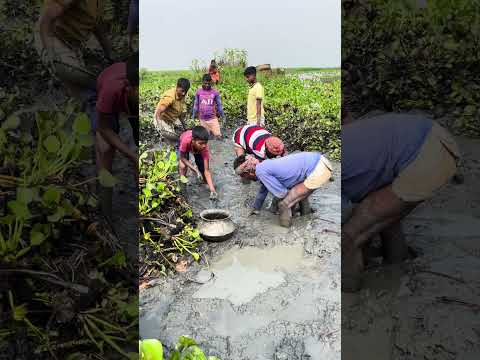 Asian village fishing #shorts