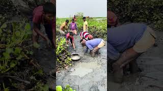Asian village fishing #shorts
