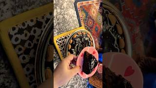 Kam kya karti ho 🫠 #ytshorts #foodie #cooking #indianfood #bestyoutuber  #yt #cooking