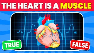 Test Your Human Body Knowledge Now!