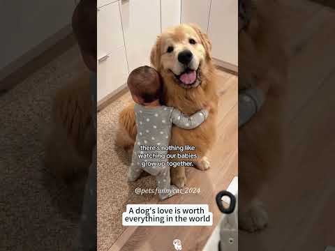 Dogs and babies are best friends 🥰🥰#usa #funny #petowner #pets #doglover #cutedog #cute