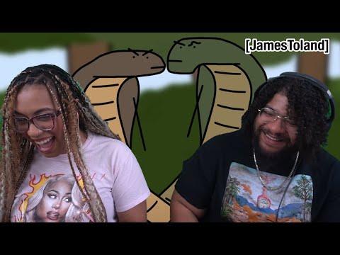 Your Life as a King Cobra | Reaction