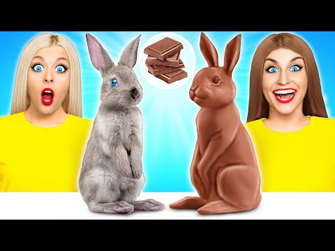 Real Food vs Chocolate Food Challenge | Crazy Ideas To Cook by Multi DO Fun Challenge