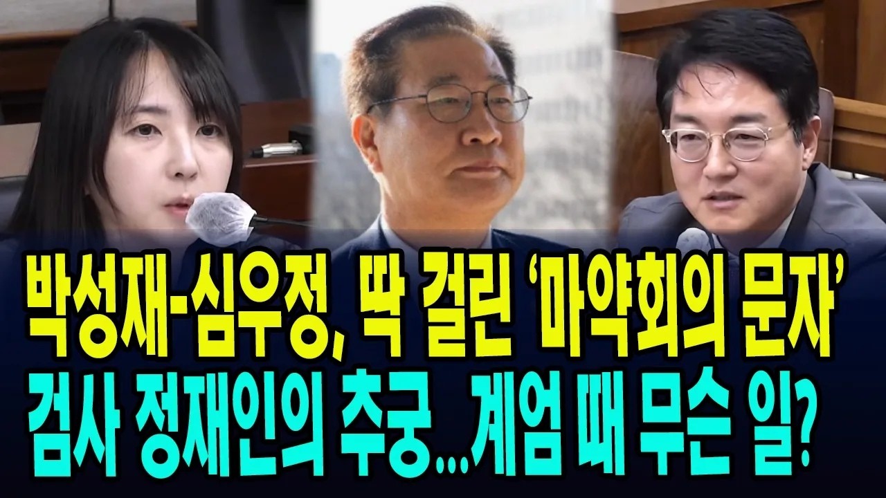 이미지 없음