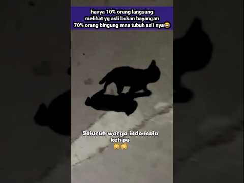 cek sound one milions view #cat #kucing #shorts