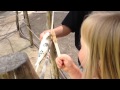 Understanding Instructions and Actions