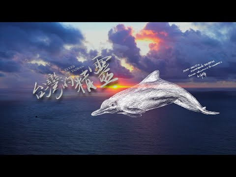 《地球的孤兒：台灣的精靈》台灣白海豚：地球僅剩五十隻的海洋精靈 - YouTube