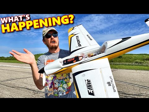 Thrilling RC Flight: Industry Insights and Challenges