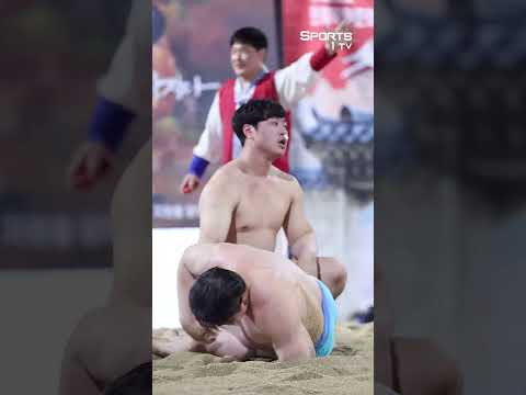 코피터지면 <strong>이기는</strong> 씨름
