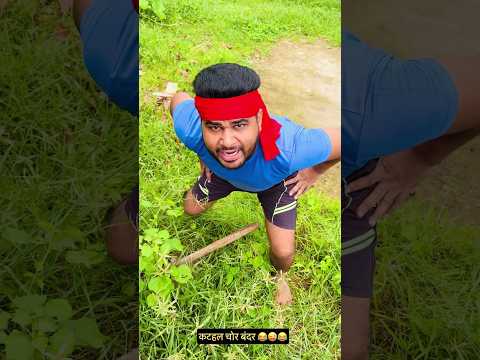 เคเคเคนเคฒ เคเฅเคฐ เคฌเคเคฆเคฐ ๐๐๐ #shorts #funnyvideo #comedyvideo #monkey #salimsuperstar