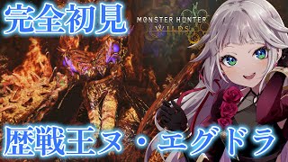 【歴戦王ヌ・エグドラ】【MHWilds/モンハンワイルズ】